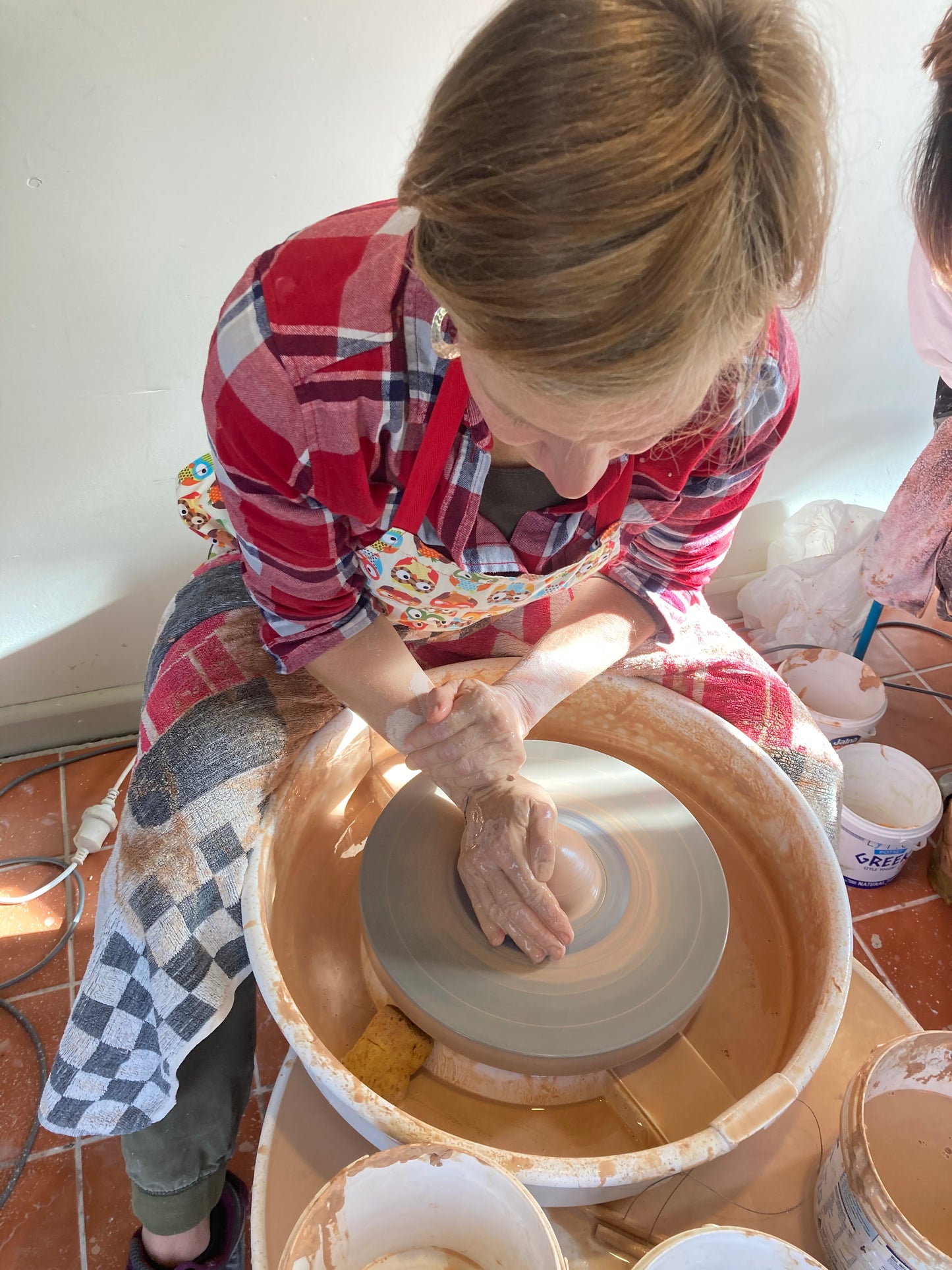 Pottery Wheel Hire- Shimpo or Venco