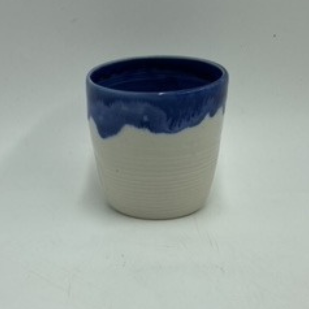 Pottery Wheel Hire- Shimpo or Venco