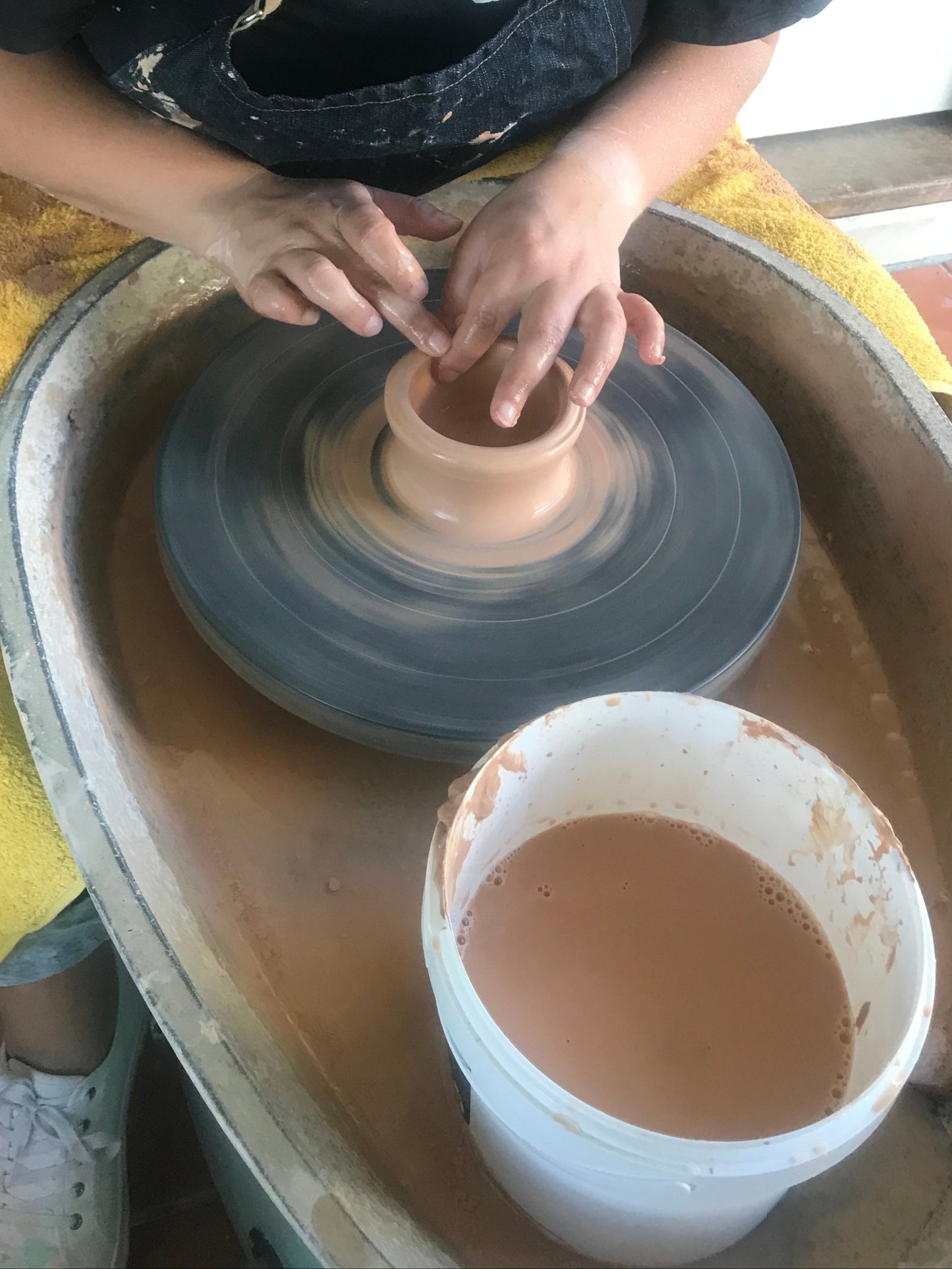 Pottery Wheel Hire- Shimpo or Venco