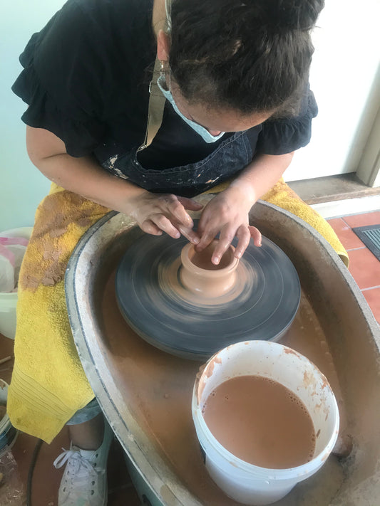 Pottery Wheel Hire- Shimpo or Venco